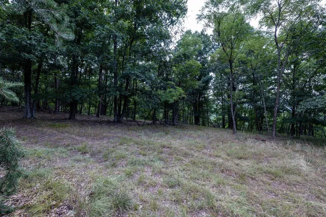 $995,000 | 22590 Criders Road, Criders, VA 22820