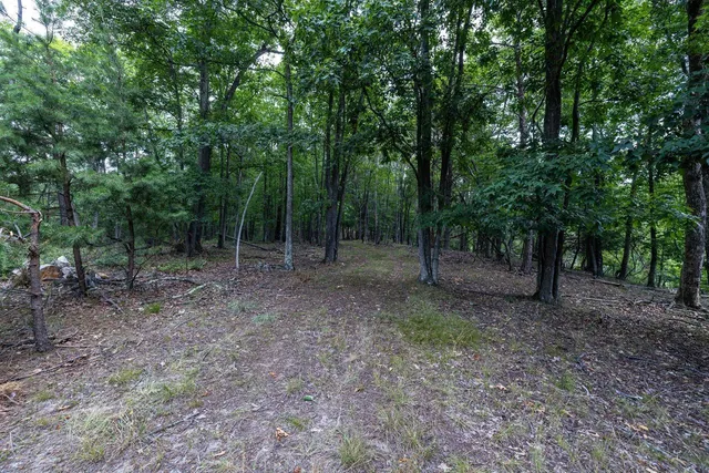 $995,000 | 22590 Criders Road, Criders, VA 22820