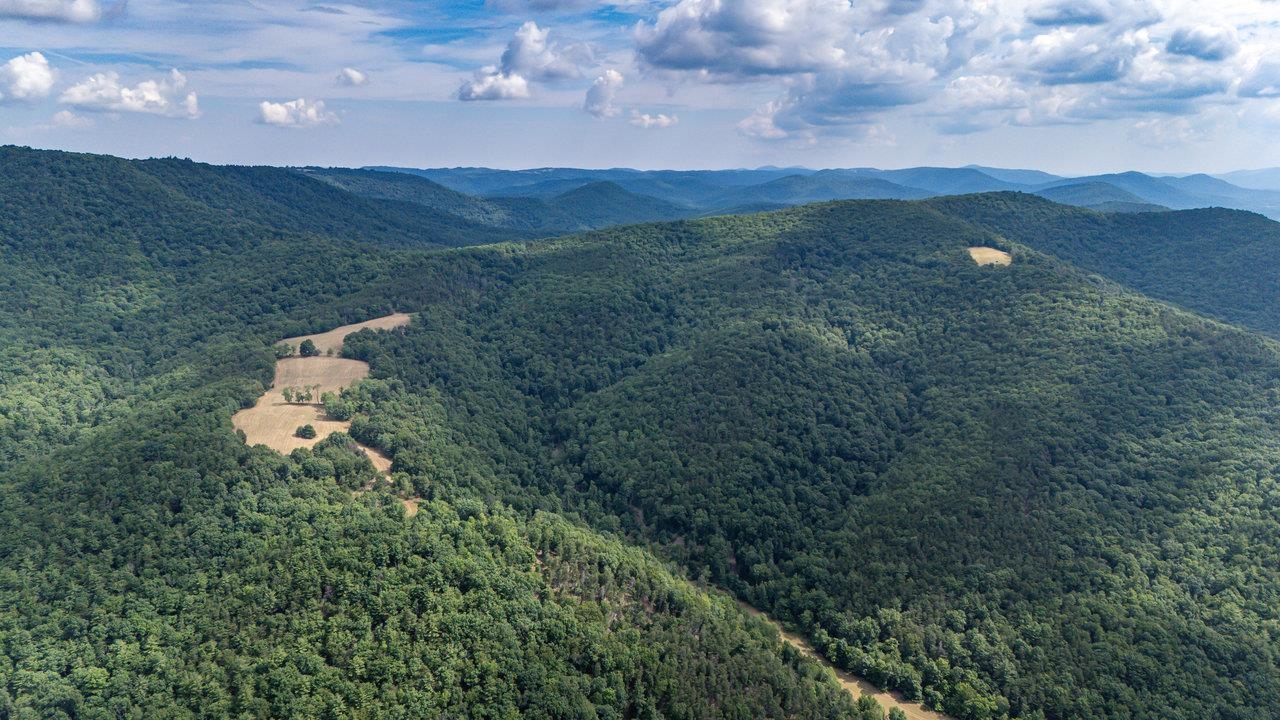 22590 Criders Road Criders, VA 22820 - Photo 70 of 70