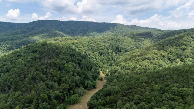 a view of a lush green hillside and a mountain