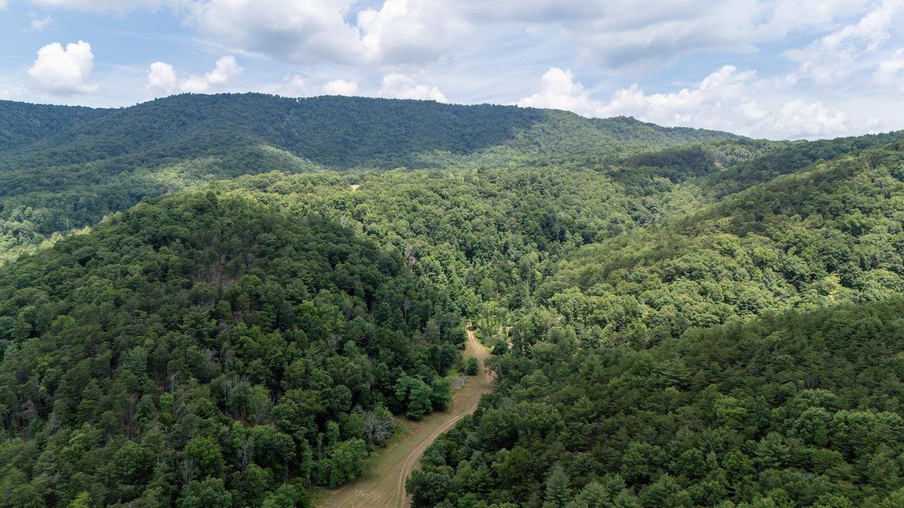 22590 Criders Road Criders, VA 22820 - Photo 7 of 70 a view of a mountain range with lush green forest
