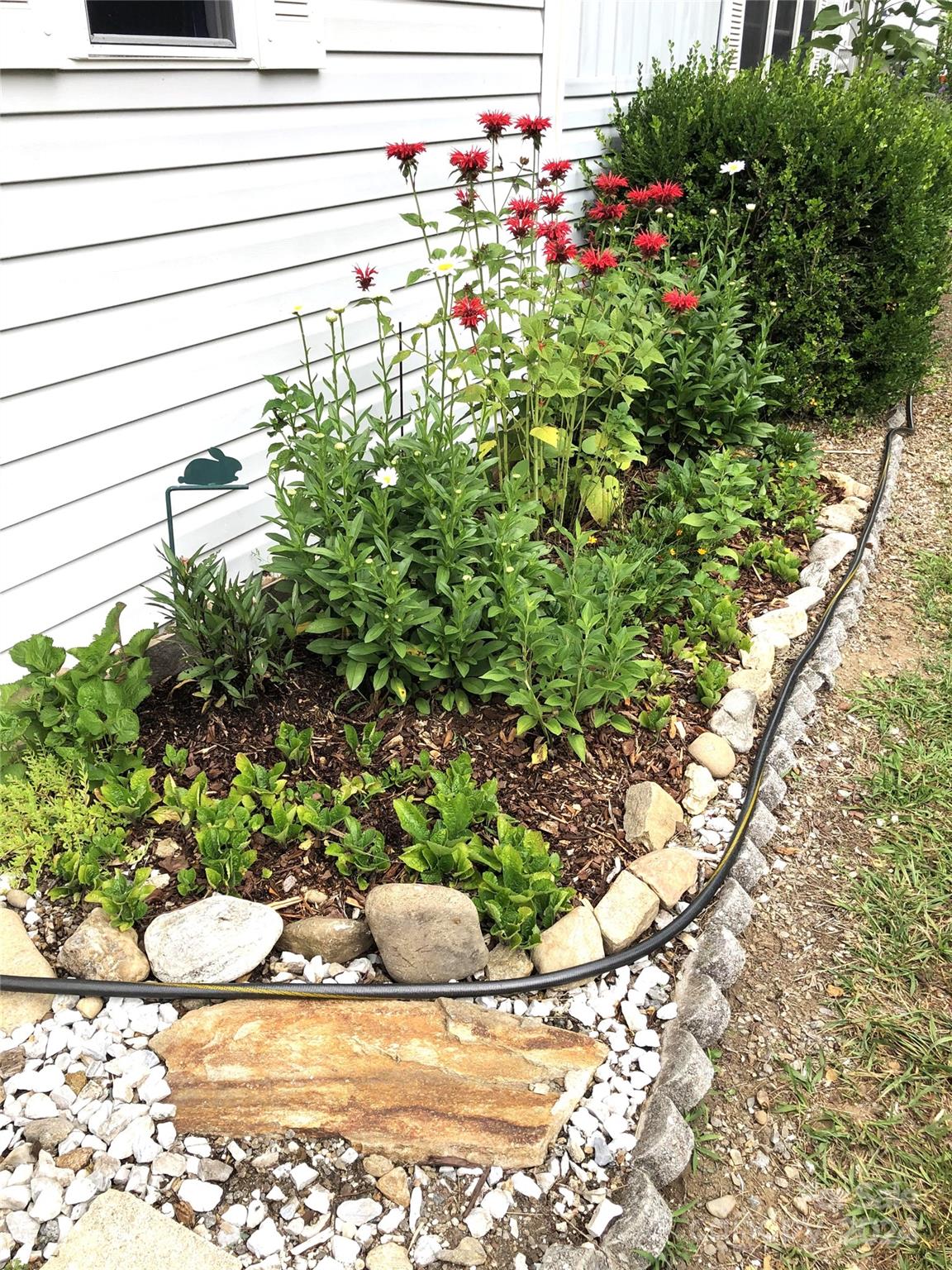 306 Mallard Loop Waynesville, NC 28785 - Photo 31 of 34 a view of a outdoor space with potted plants