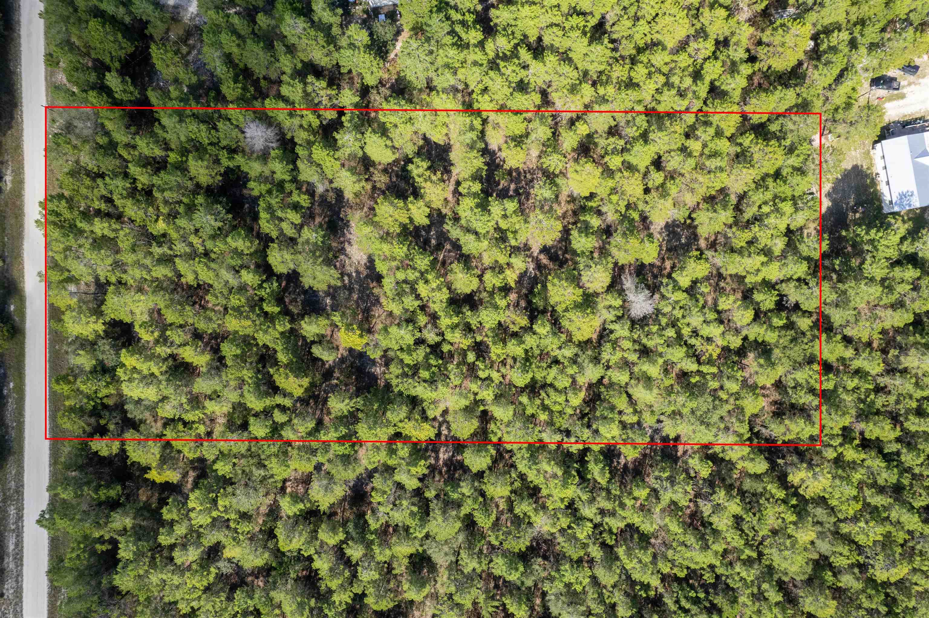 Vacant Fawn Way Perry, FL 32348 - Photo 8 of 11 Gallery Image 8