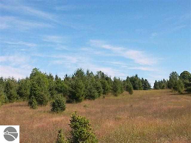 Burdickville Road Maple City, MI 49664 - Photo 8 of 10 1819007-7.JPG