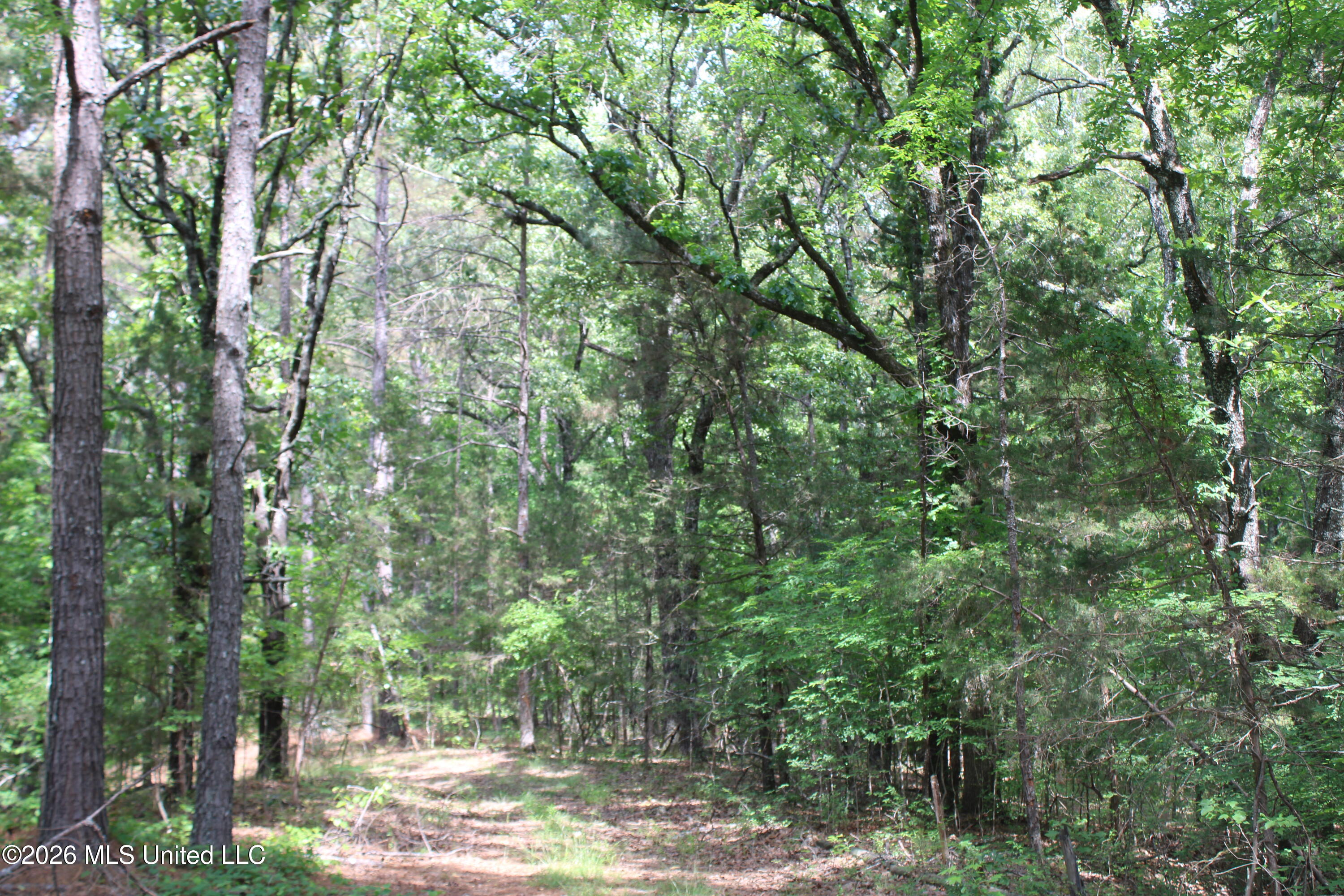 500 Boswell Road Holly Springs, MS 38635 - Photo 20 of 23 IMG_7808