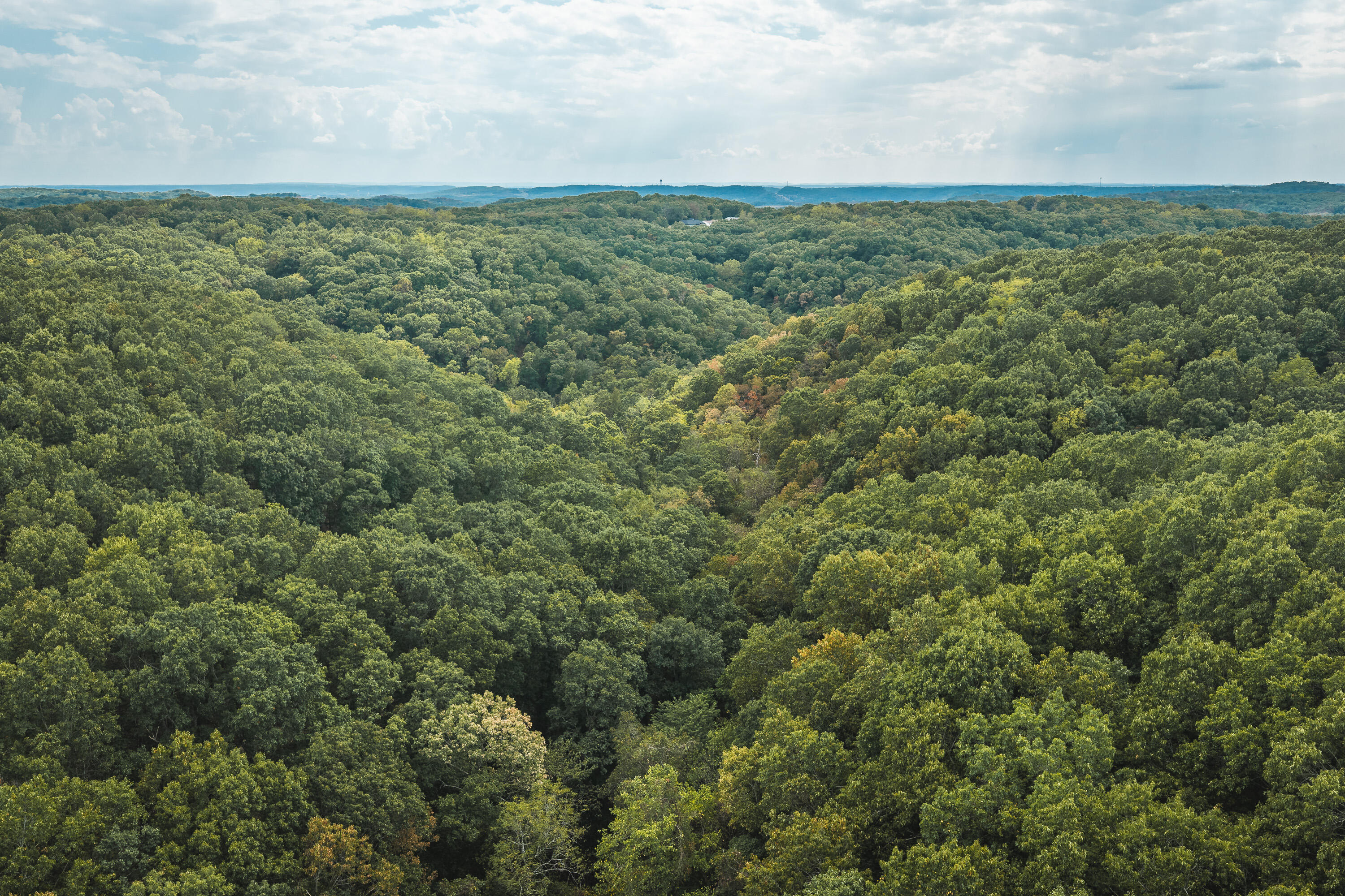 1190 Old US Highway 160 Reeds Spring, MO 65737 - Photo 48 of 50 DJI_20260916144000_0149_D