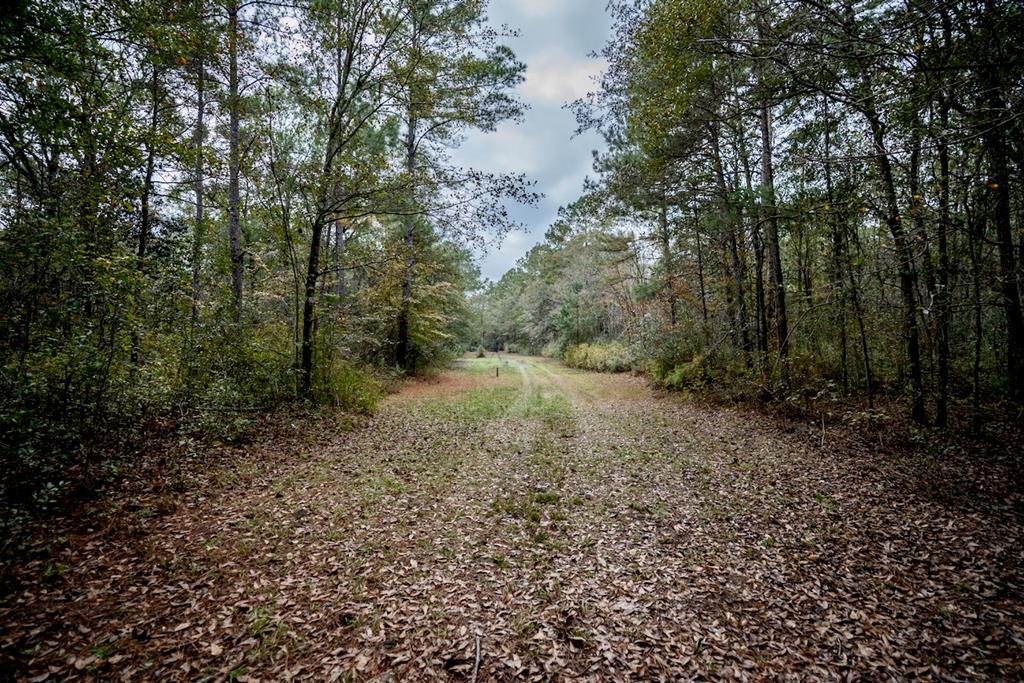 0 Race Track Road Hahira, GA 31632 - Photo 3 of 7 Gallery Image 3