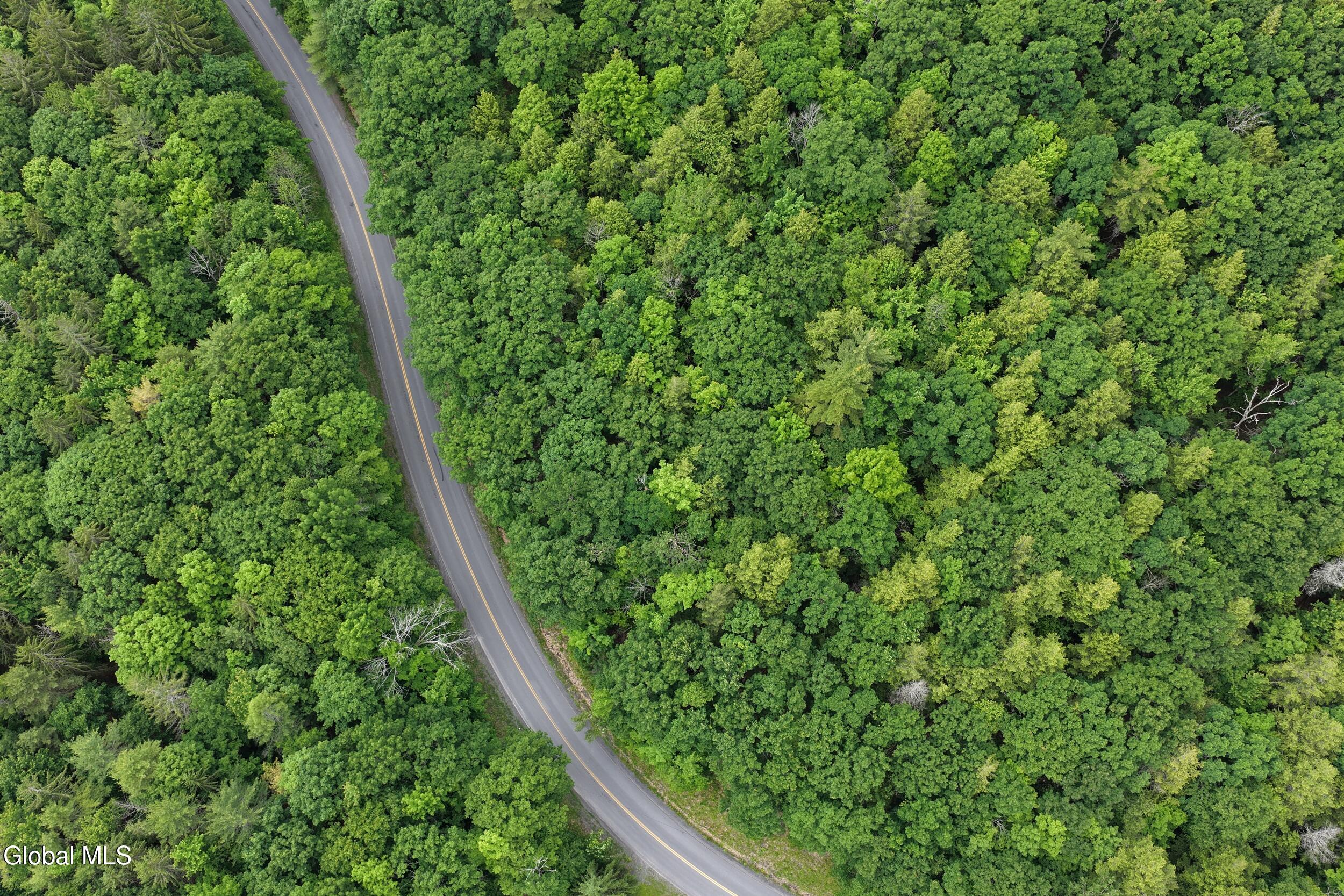 L1.00 Cotton Hill Road Middleburgh, NY 12122 - Photo 15 of 17 dji_20260616014227_0061_d