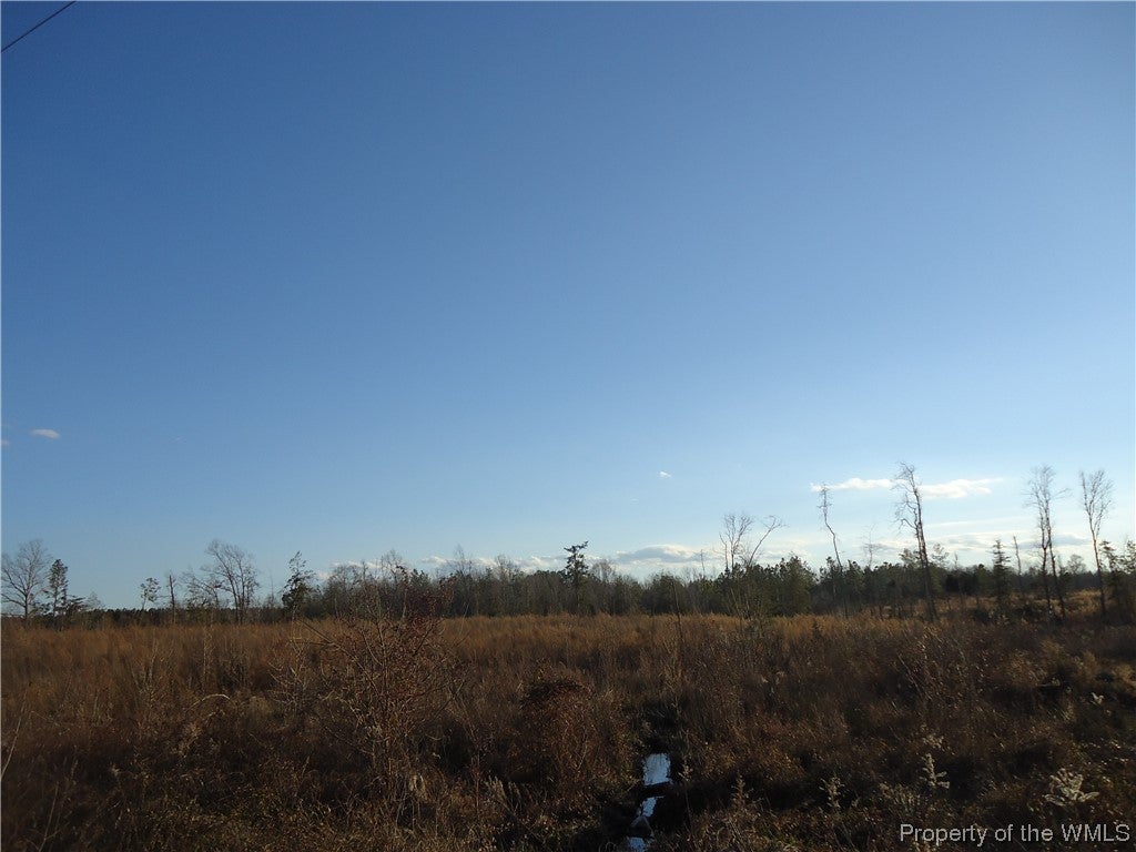 6.9-ac Colonial Trail West Dendron, VA 23839 - Photo 18 of 23 Gallery Image 18