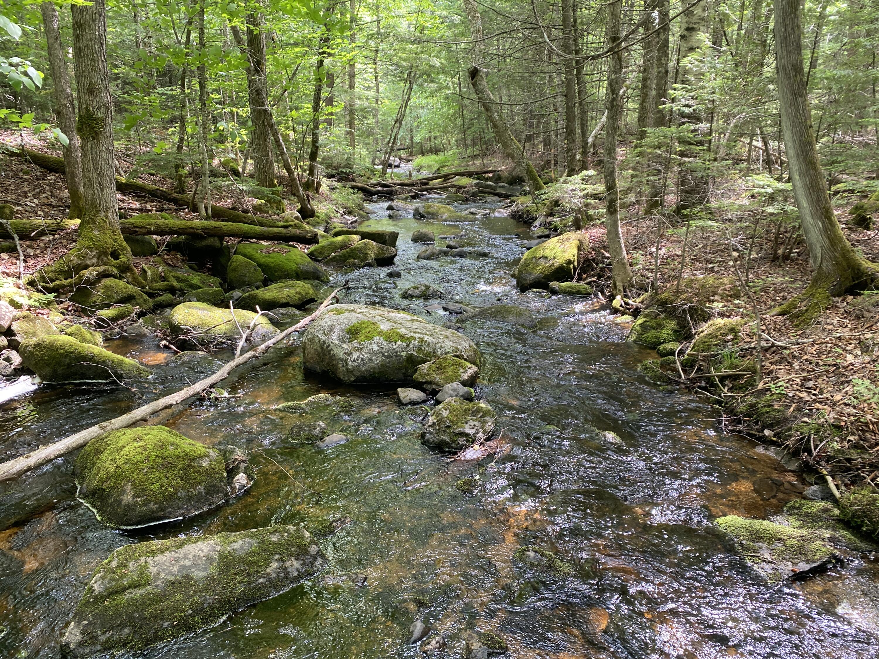 783 Half Township Road Lincoln, ME 04457 - Photo 4 of 24 IMG_4