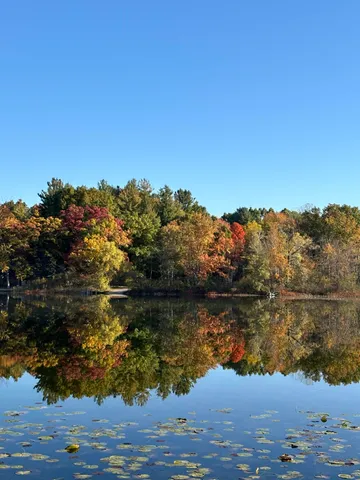 $289,000 | 6026 Keeney Road, Six Lakes, MI 48886