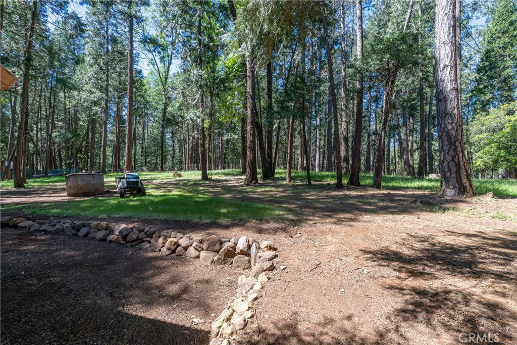 4715 Cody Lane Forest Ranch, CA 95942 - Photo 54 of 75