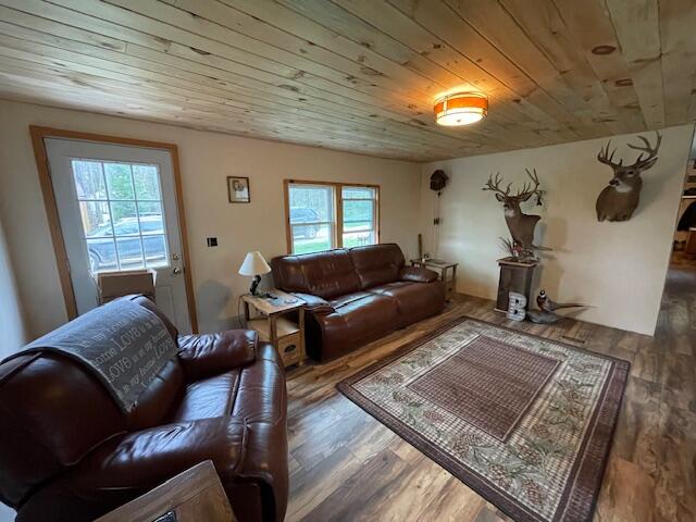 9896 Sandy Lane Reed City, MI 49677 - Photo 14 of 25 IMG_8348