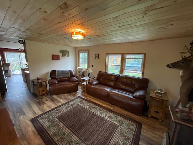 9896 Sandy Lane Reed City, MI 49677 - Photo 16 of 25 IMG_8350
