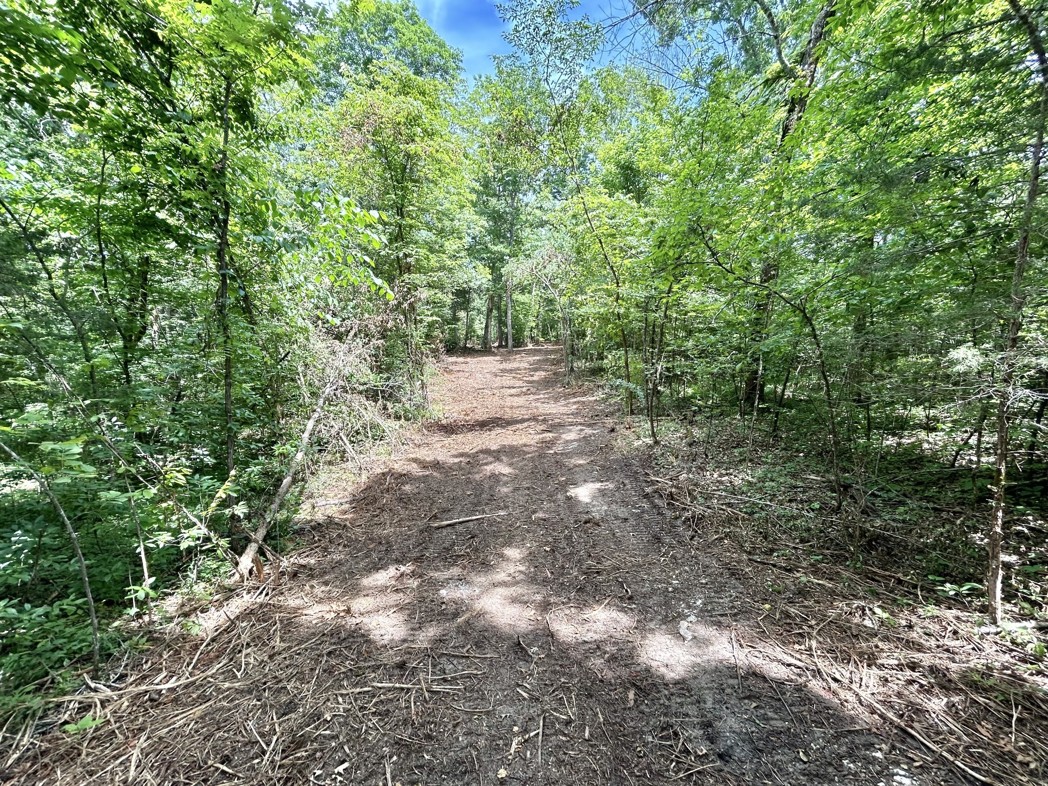 1 Murfreesboro Road Lebanon, TN 37090 - Photo 25 of 32 a view of a yard with plants and large trees