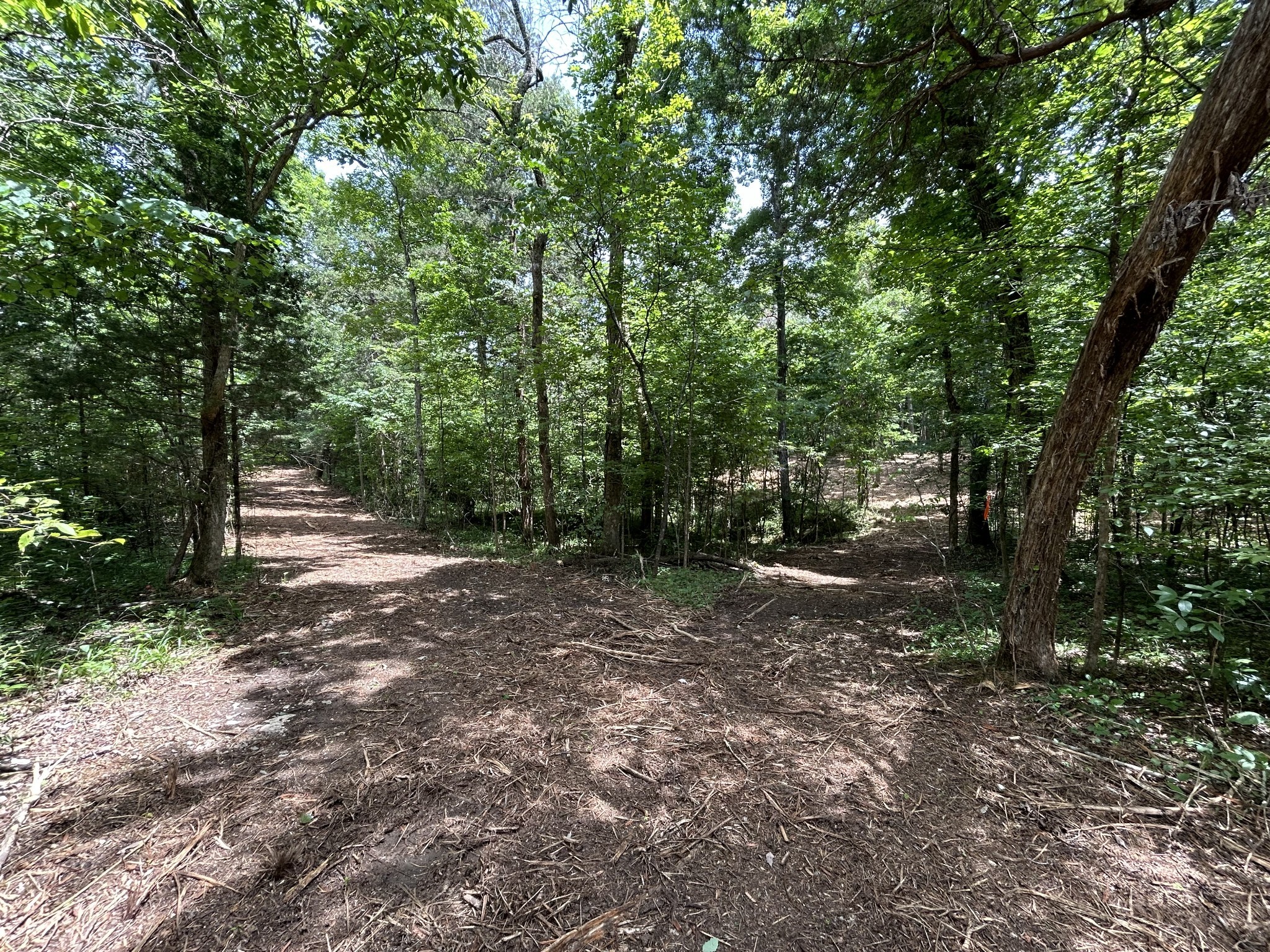 1 Murfreesboro Road Lebanon, TN 37090 - Photo 27 of 32 a view of outdoor space and trees