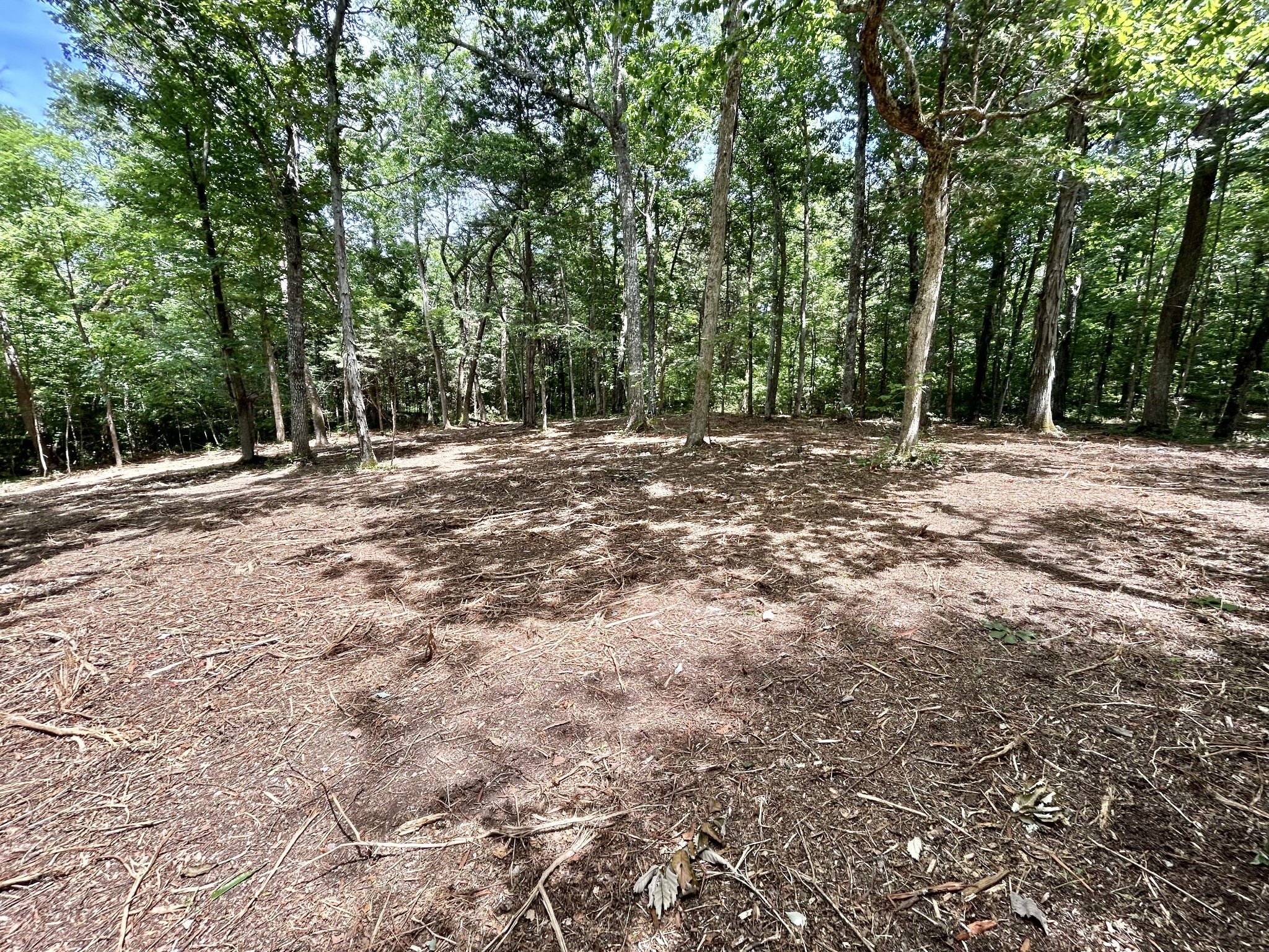1 Murfreesboro Road Lebanon, TN 37090 - Photo 28 of 32 a view of a yard with a tree