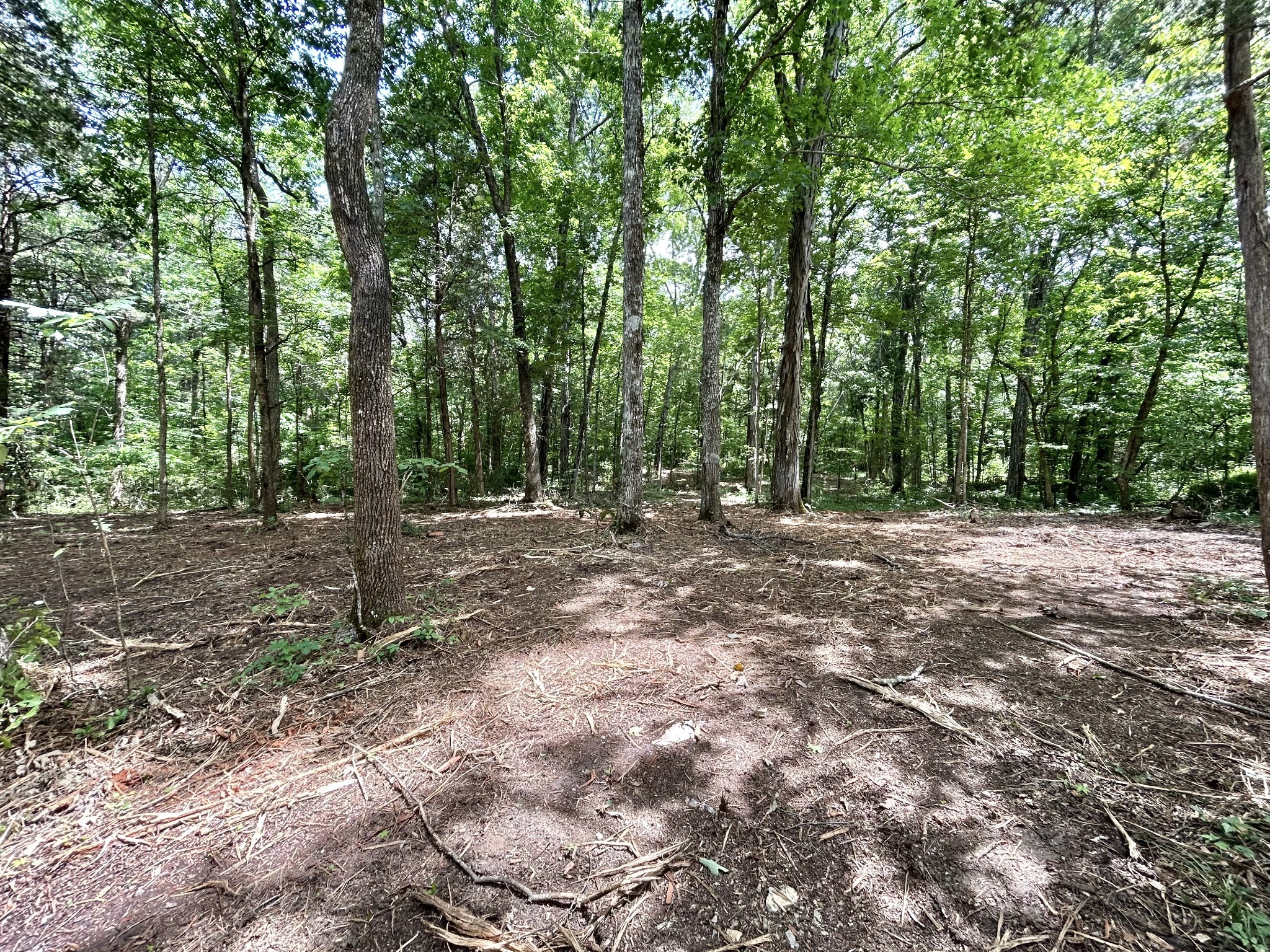 1 Murfreesboro Road Lebanon, TN 37090 - Photo 30 of 32 a view of outdoor space and trees