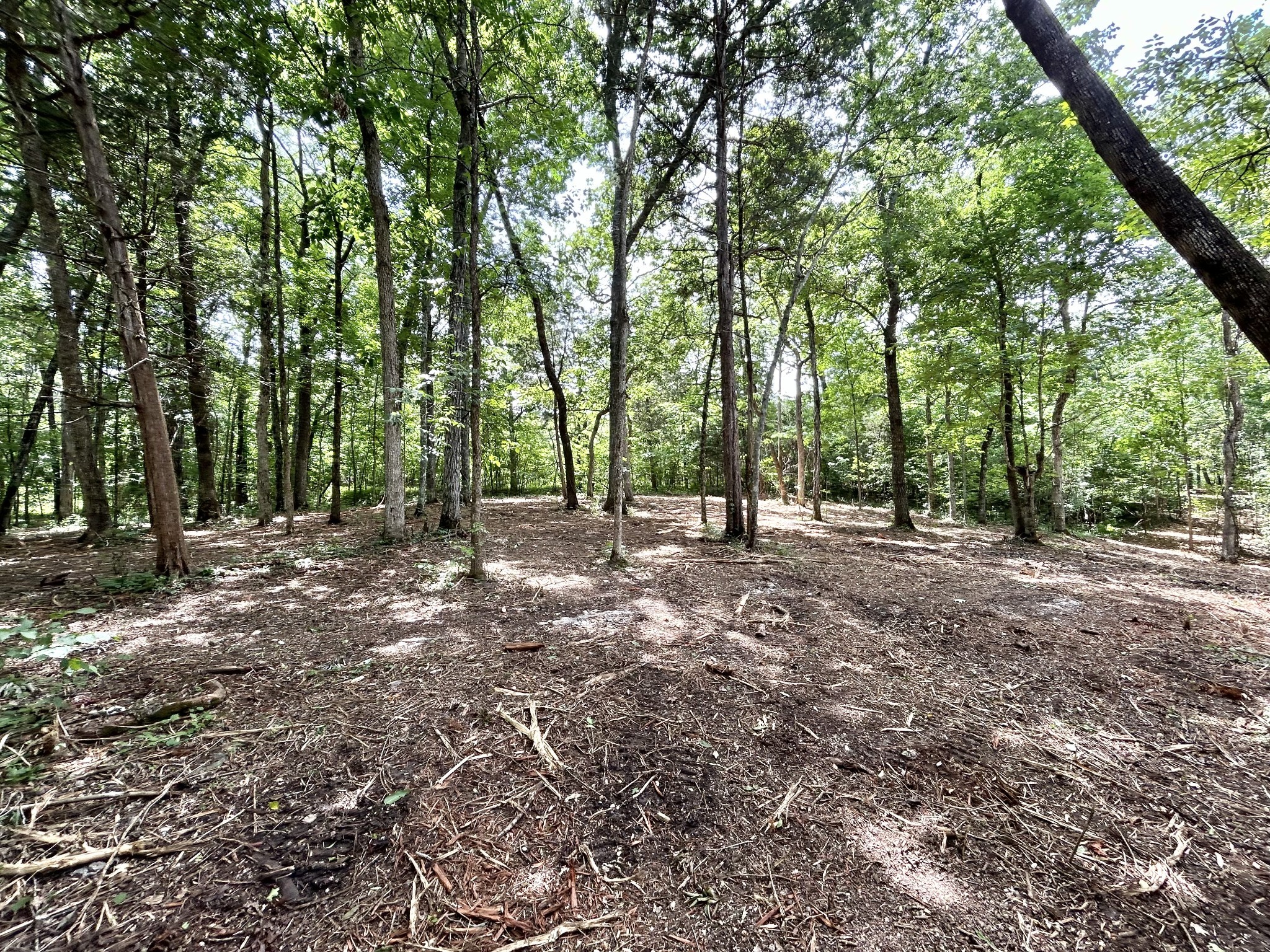 1 Murfreesboro Road Lebanon, TN 37090 - Photo 32 of 32 a view of outdoor space with trees