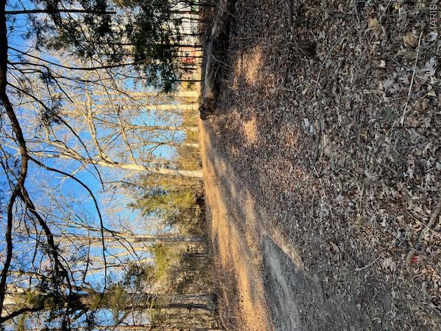 10827 Scout Camp Road Bismarck, MO 63624 - Photo 8 of 23