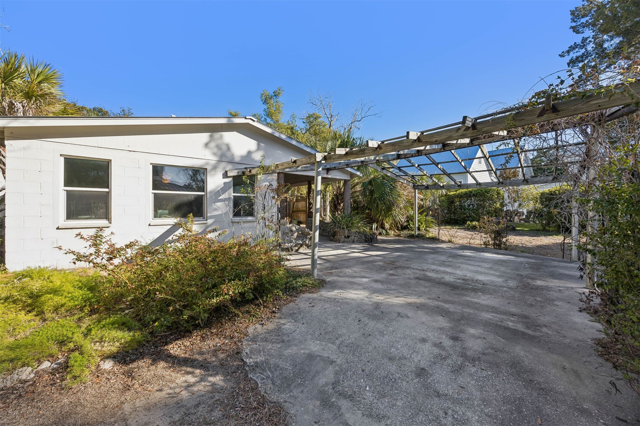 1012 Ladies Street Fernandina Beach, FL 32034 - Photo 8 of 64 a view of a house with large trees and plants