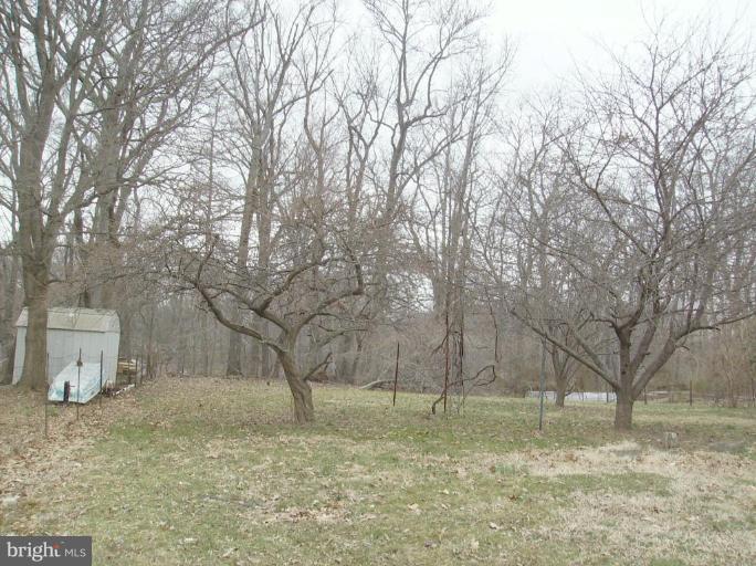 4133 Maple Road Suitland, MD 20746 - Photo 10 of 10 a view of a yard with a tree