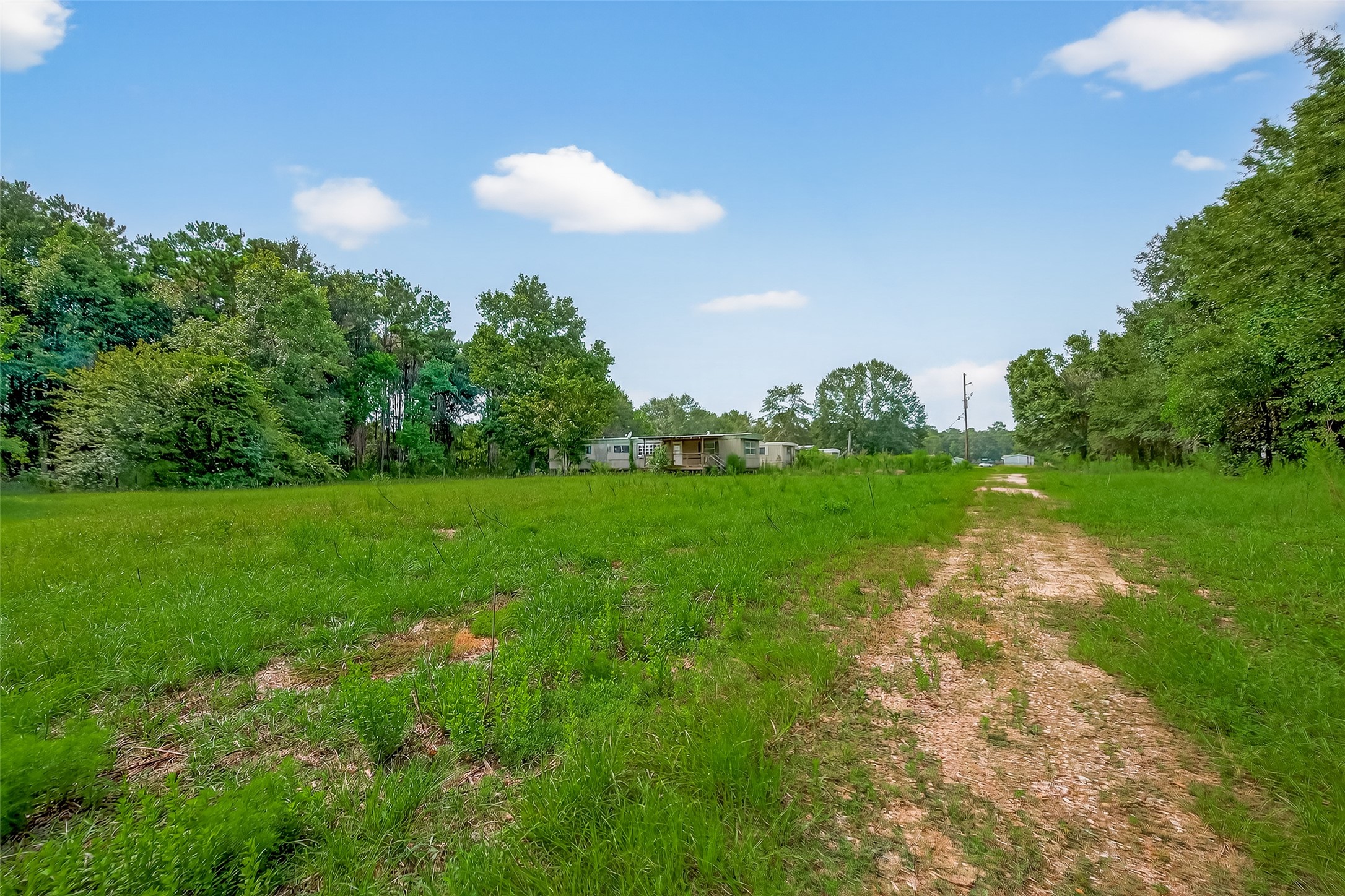 905 County Road 379 Cleveland, TX 77328 - Photo 6 of 11