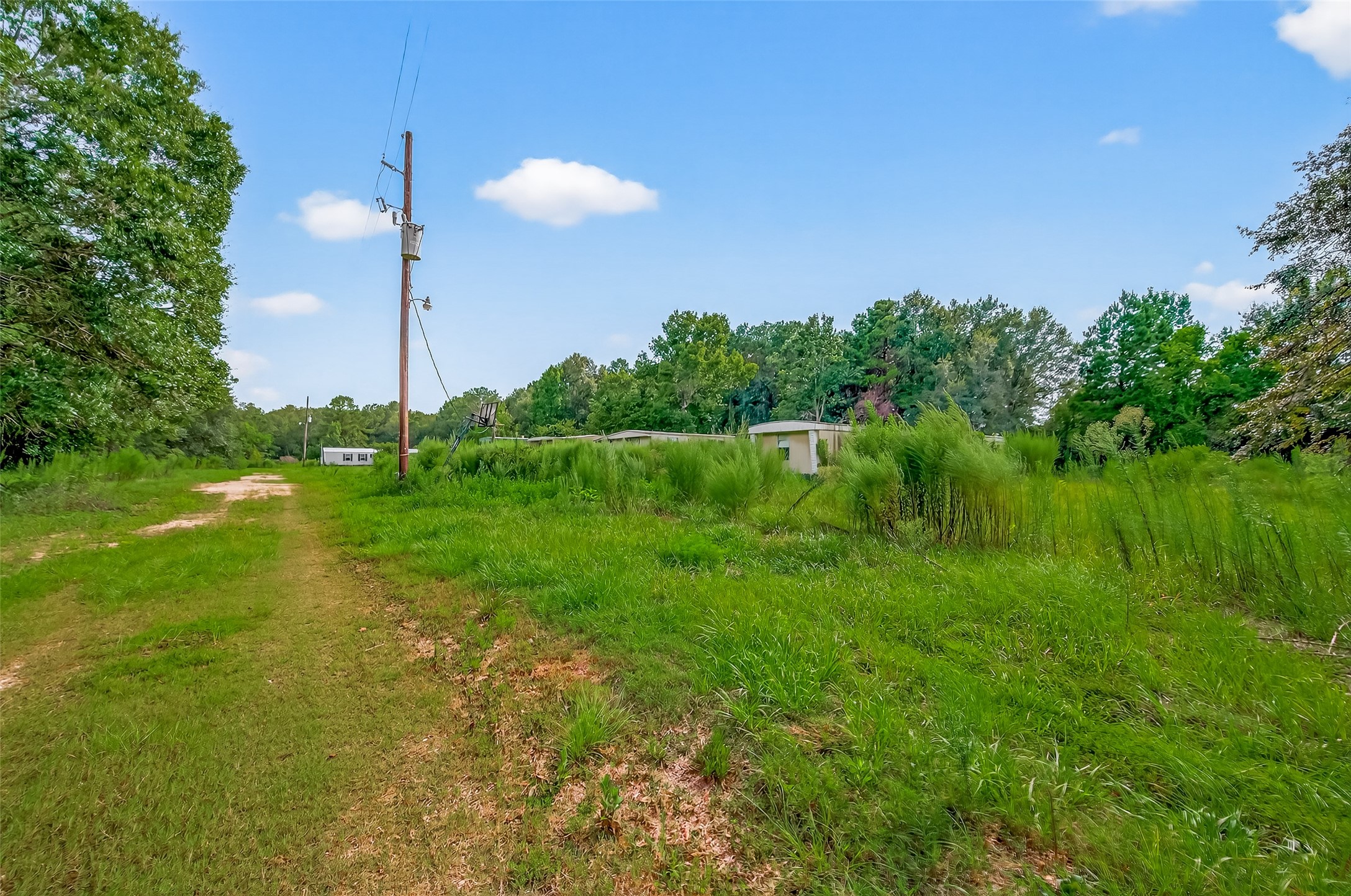 905 County Road 379 Cleveland, TX 77328 - Photo 9 of 11