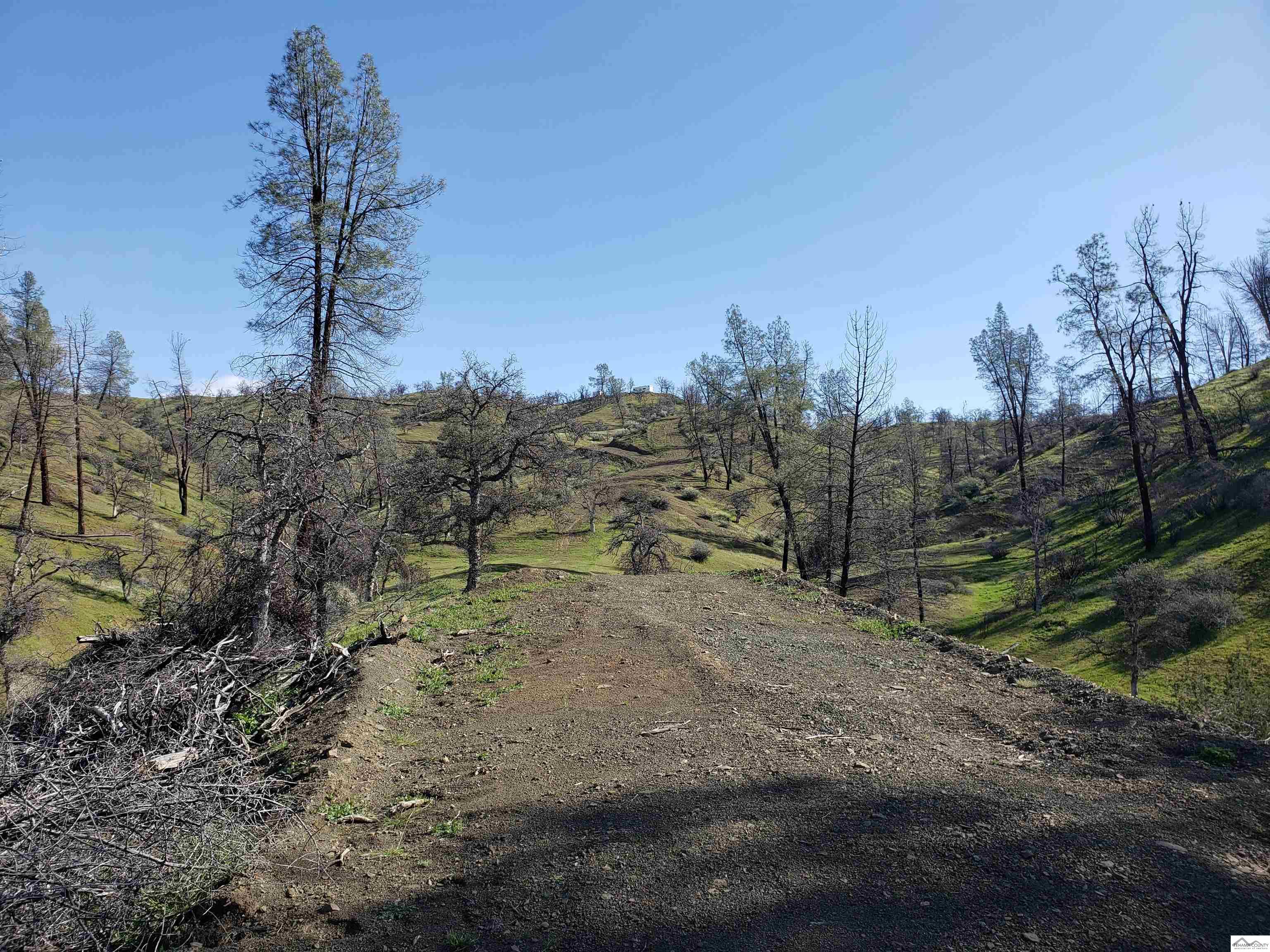 0 Vestal Road, Unit WELLS CREEK RANCHES Red Bluff, CA 96080 - Photo 18 of 45
