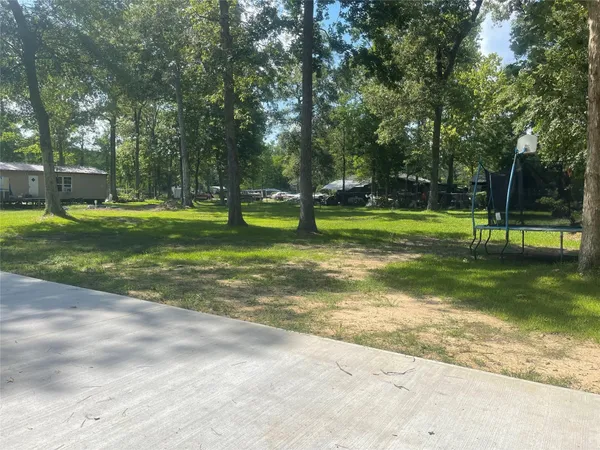 a view of a park with a large tree