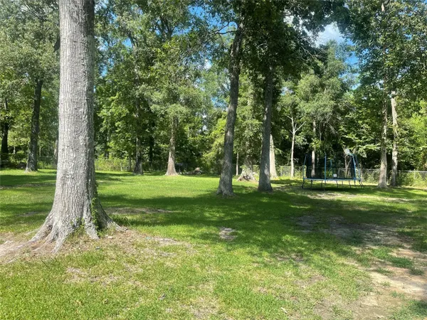 a view of a park with trees and grass