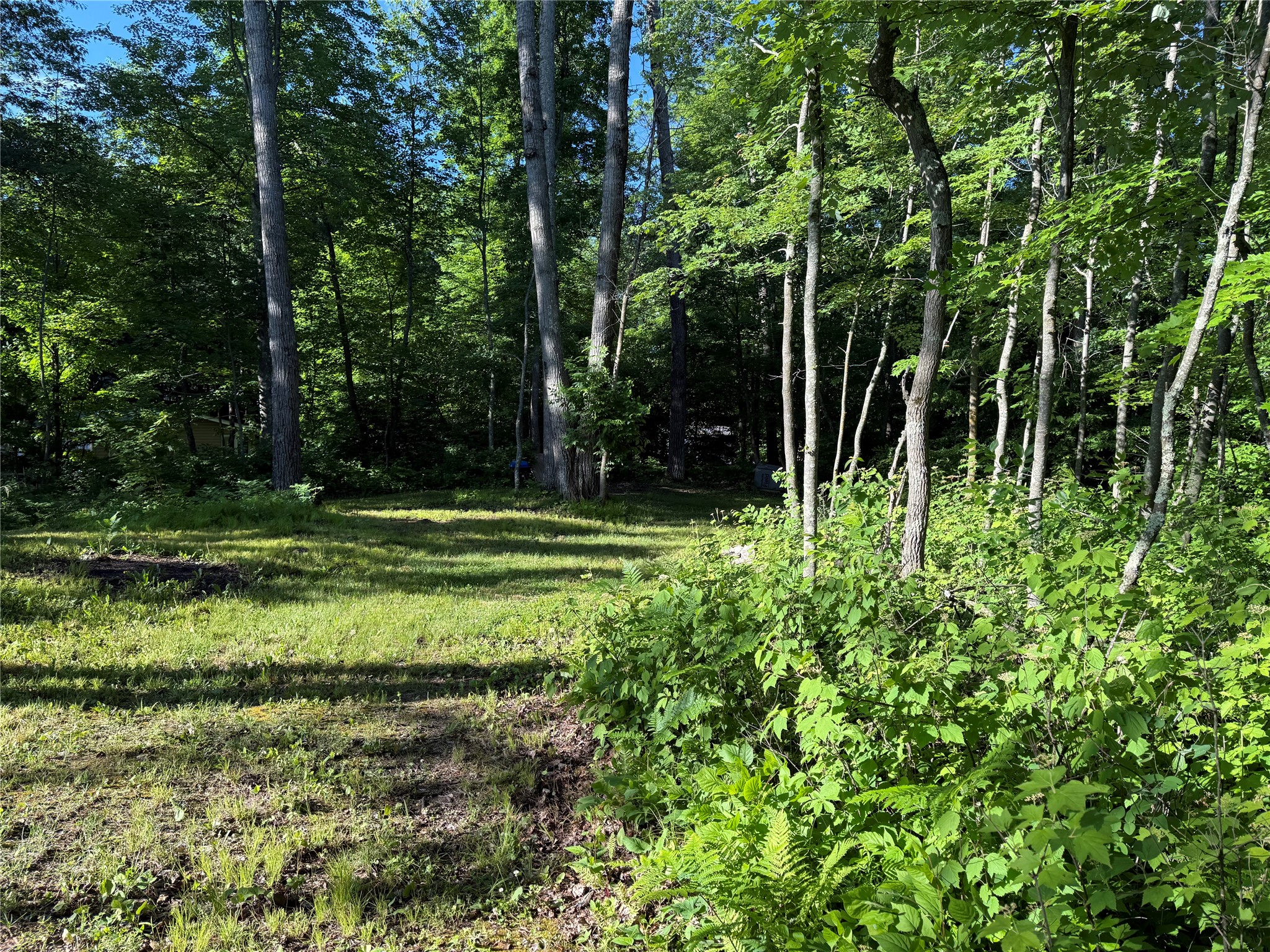 Xxx Sathre Lane Shell Lake, WI 54871 - Photo 23 of 36