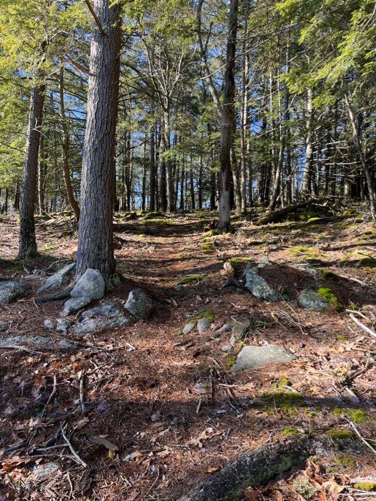 37 Lords Way Windham, ME 04062 - Photo 95 of 97 80F8CD2C-7999-4129-888B-BCDBE5238A88_1_1
