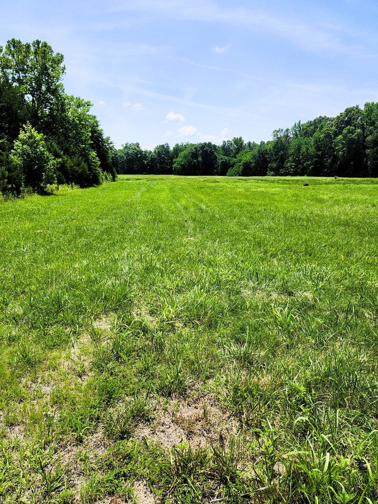 River Road Farmville, VA 23901 - Photo 9 of 21 Gallery Image 9