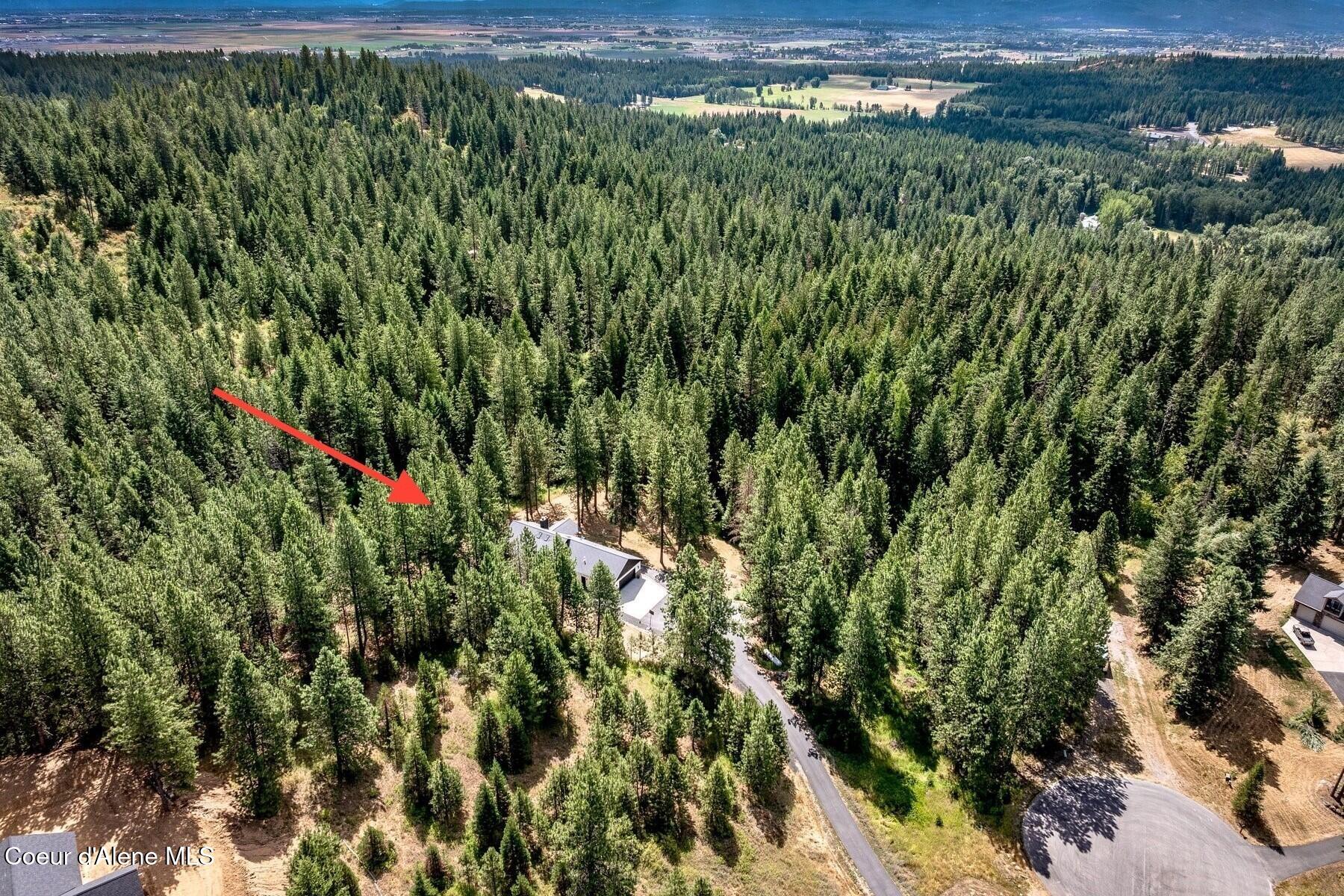 14558 North Saddle Ridge Road Rathdrum, ID 83858 - Photo 4 of 51 The forest awaits