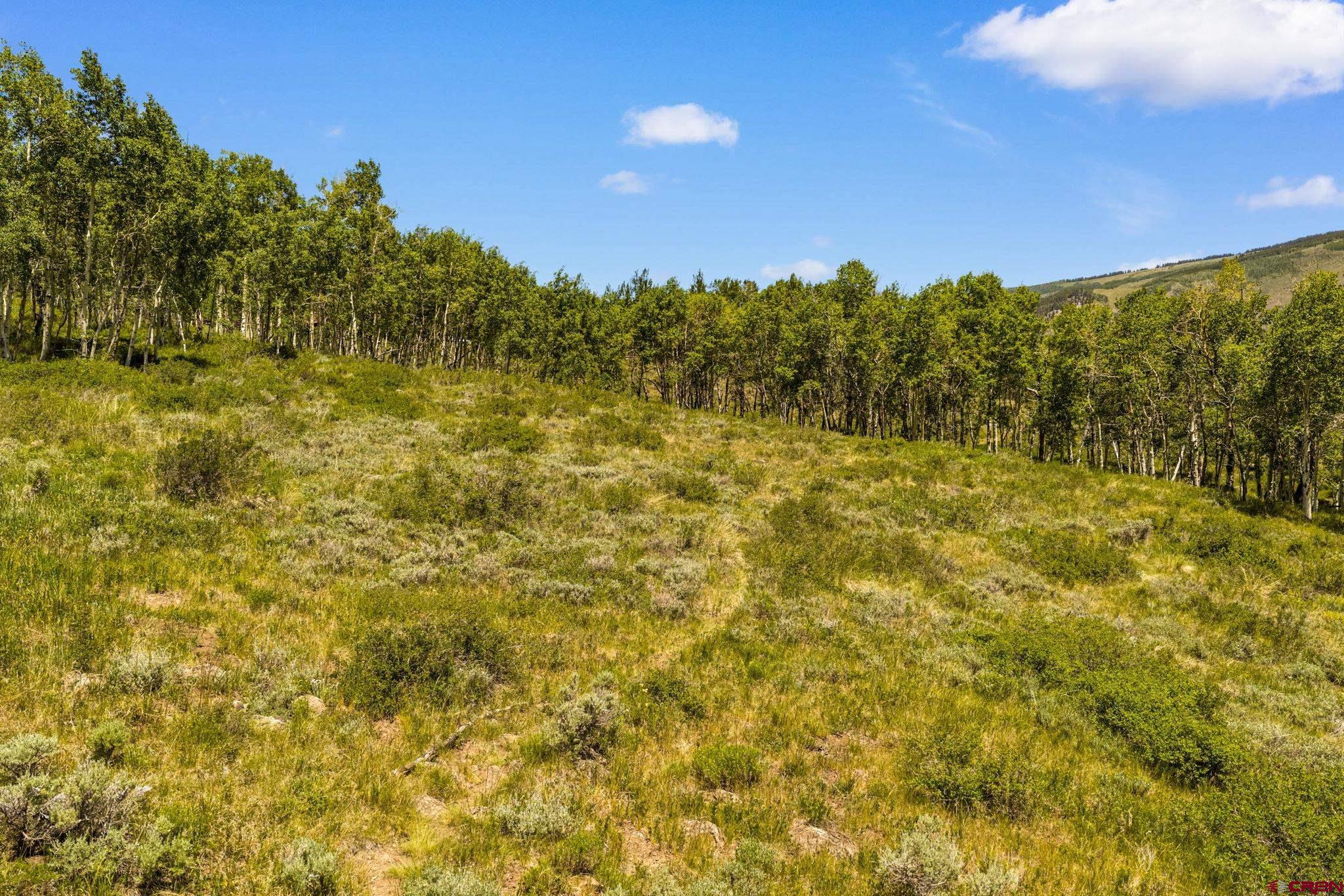 1175 Red Mountain Ranch Road Crested Butte, CO 81224 - Photo 20 of 24