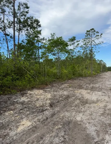 $64,900 | 3204 Fowler School Road, Green Sea, SC 29545