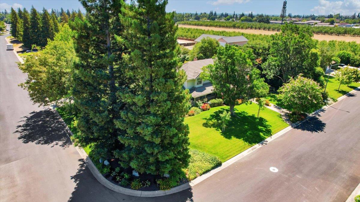 8028 Butte Avenue Sutter, CA 95982 - Photo 78 of 93 Gallery Image 78
