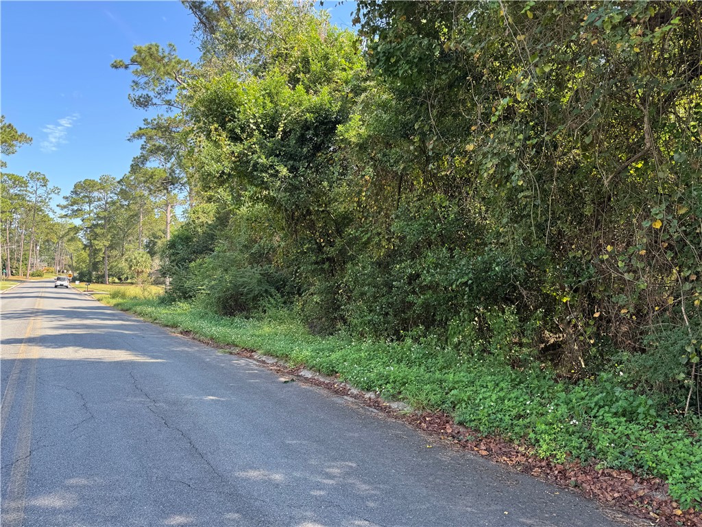 0 Seminole Trail Waycross, GA 31501 - Photo 2 of 4
