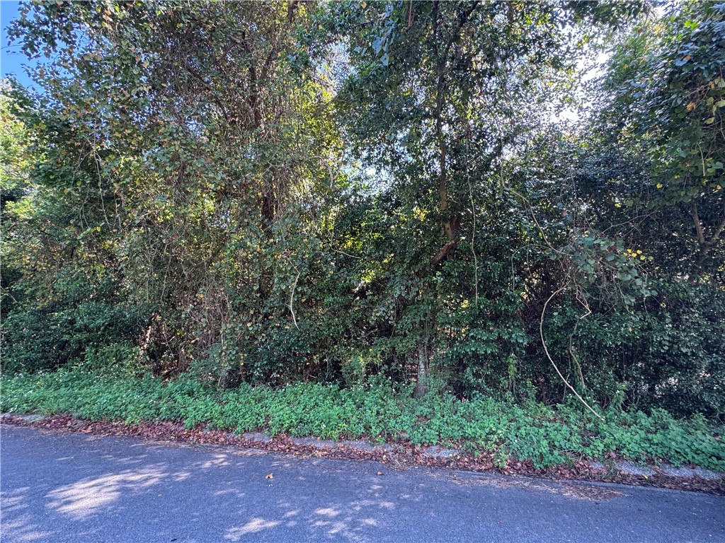 0 Seminole Trail Waycross, GA 31501 - Photo 3 of 4