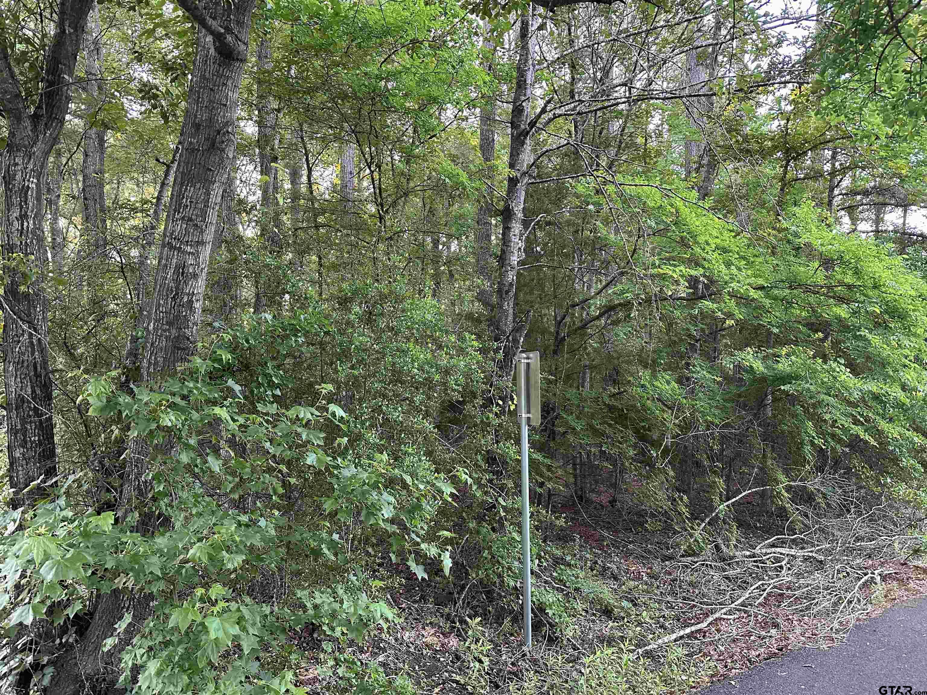 Tbd South Easy Street Rusk, TX 75785 - Photo 4 of 20 a view of forest