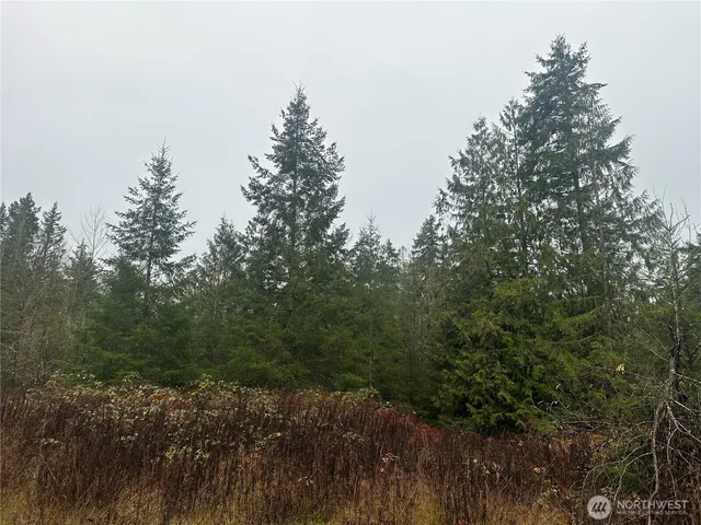 $165,000 | 44606 Concrete Sauk Valley Road, Unit WA, Concrete, WA 98237