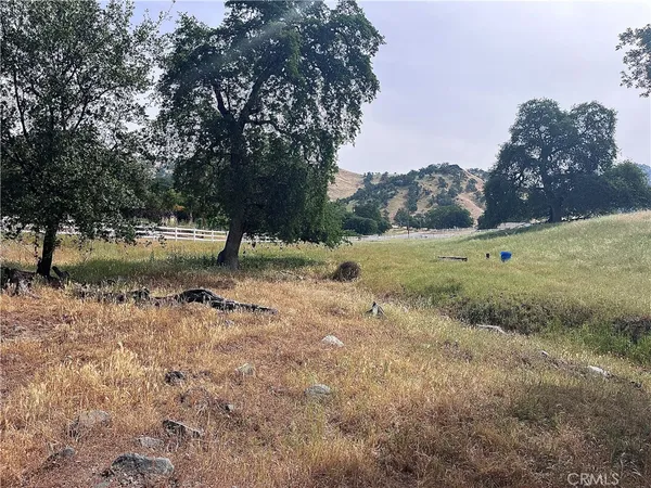 a view of a dry yard with trees
