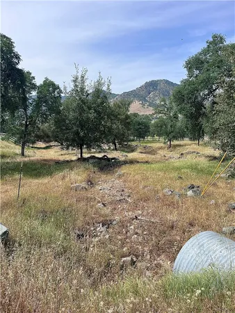 a view of dirt field with trees in the background