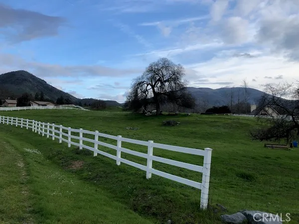 a view of a park with a big yard