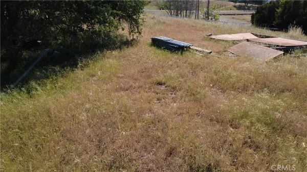 a view of a yard with some trees