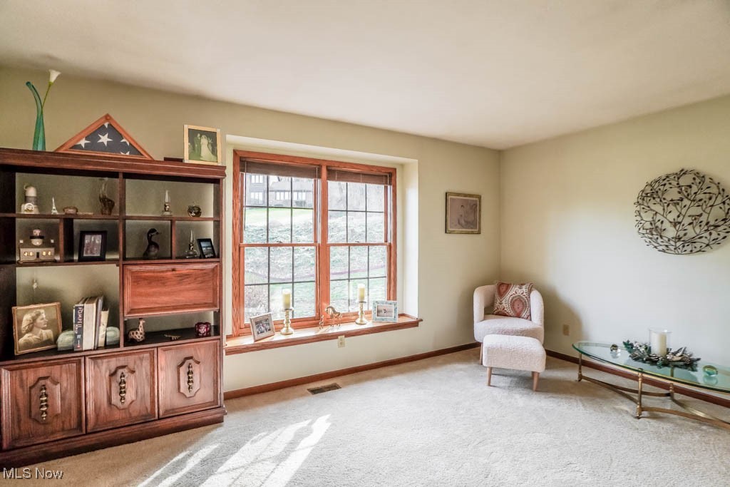 1215 Spring Valley Avenue Northwest Canton, OH 44708 - Photo 5 of 50 Gallery Image 5