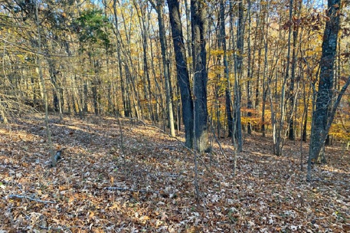 0 Al Henn Road Cadiz, KY 42211 - Photo 5 of 10 Gallery Image 5