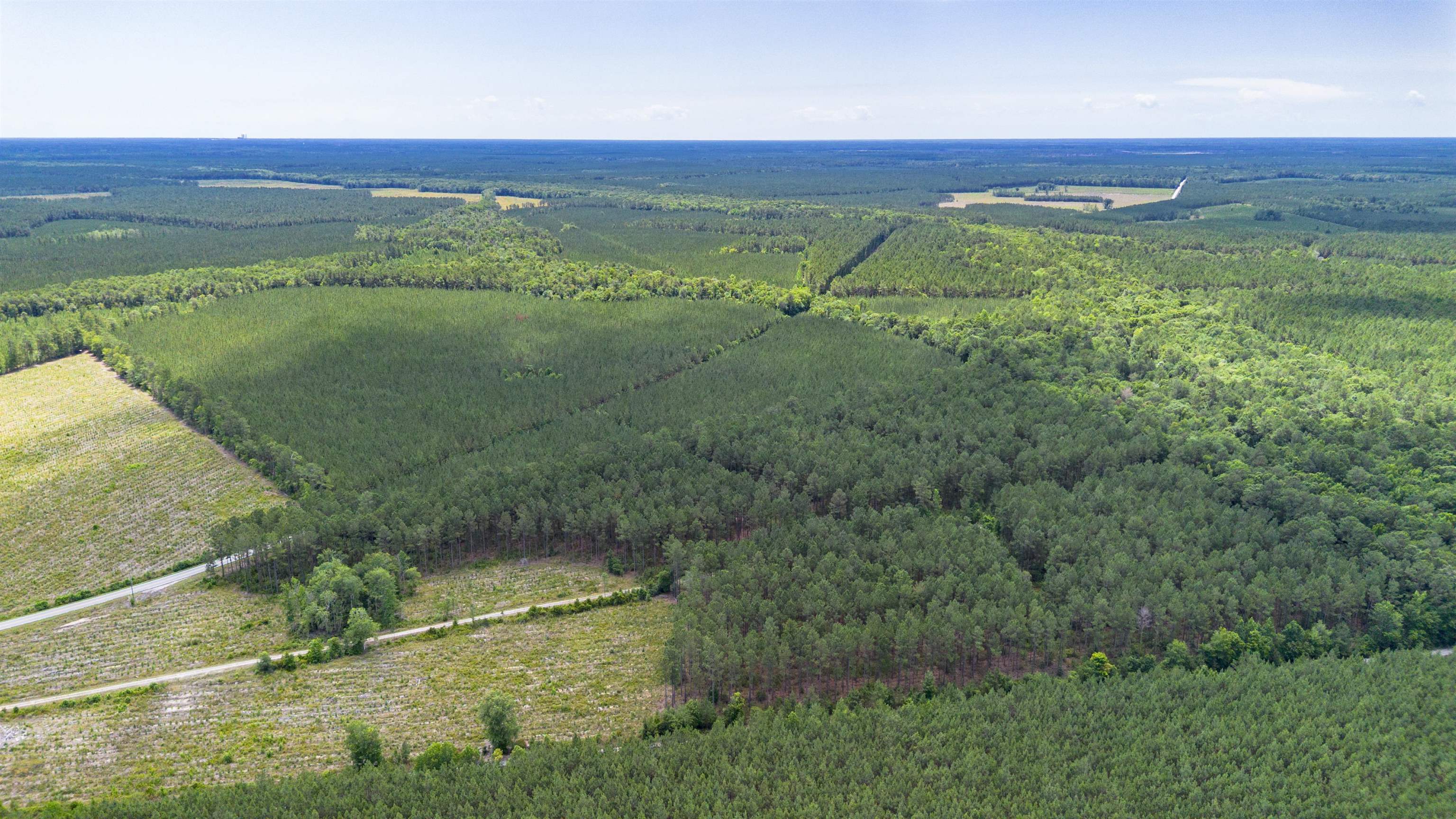 Ten Acre Road Andrews, SC 29510 - Photo 3 of 10