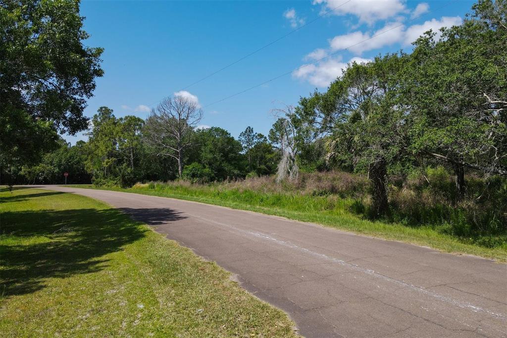1729 Shenandoah Road Wimauma, FL 33598 - Photo 13 of 22